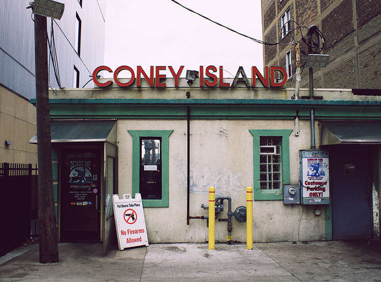 TheConeyIsAPartyForTheWorkingClass.AmeliaGillis